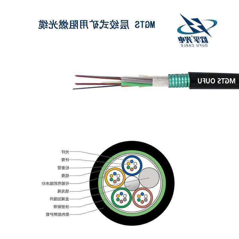 巴音郭楞蒙古自治州MGTS光缆