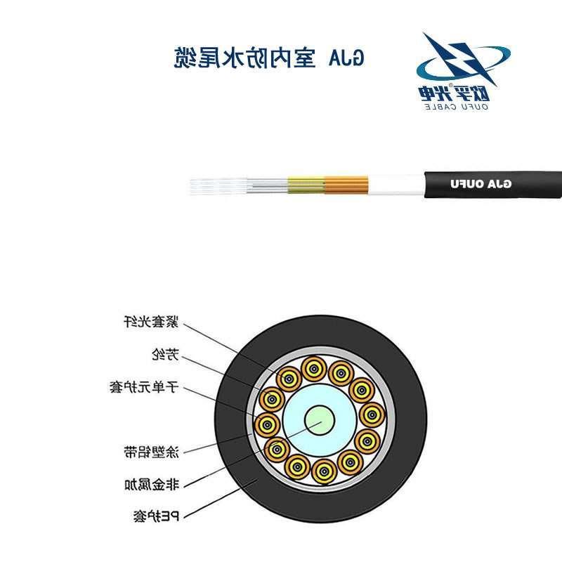 黔江区GJA防水尾缆