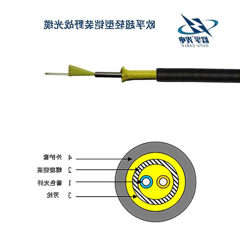 南通市超轻型铠装野战光缆