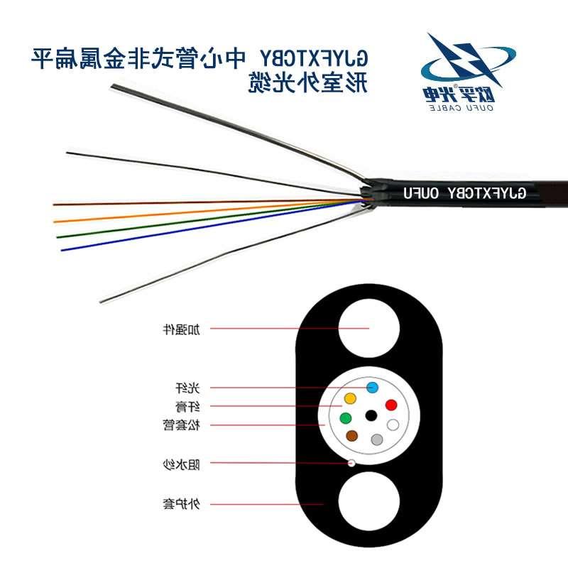 GJYFXTCBY 中心管式非金属扁平形室外光缆