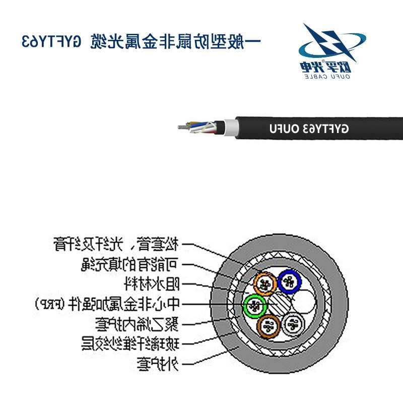 吴忠市防鼠咬GYFTY63光缆